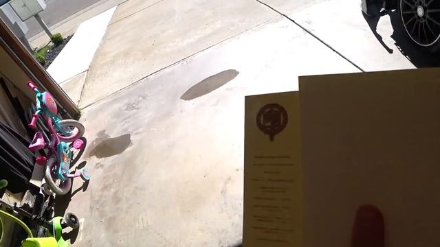 Летняя Школа В Америке - Трава, Отчаяние, Беспредел смотреть онлайн