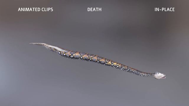 Animated Game Ready Reticulated Python 3d Model смотреть онлайн