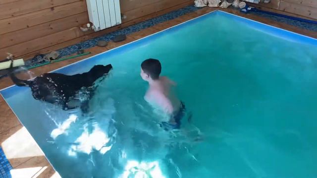 Мои дети: Тим и лабрадор Яфи в бассейне купаются/23.06.21