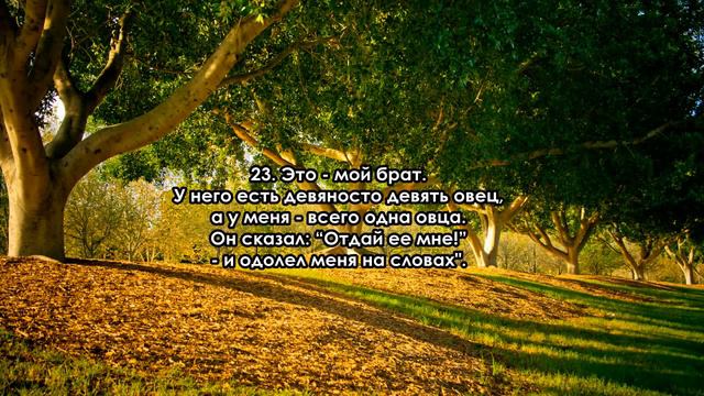 Сура 38 Сад с 1 по 40 аят смотреть онлайн