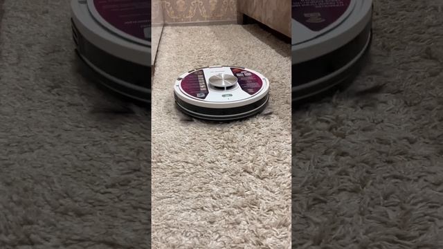 Уборка на ковре с длинным ворсом робот-пылесосом Polaris PVCR 3900 IQ Home Panorama Aqua смотреть онлайн