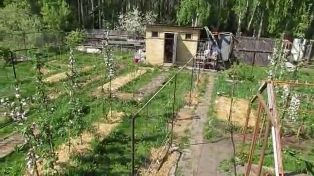 Весна 2013. Стрижка травы в проходах между делянками на даче. смотреть онлайн