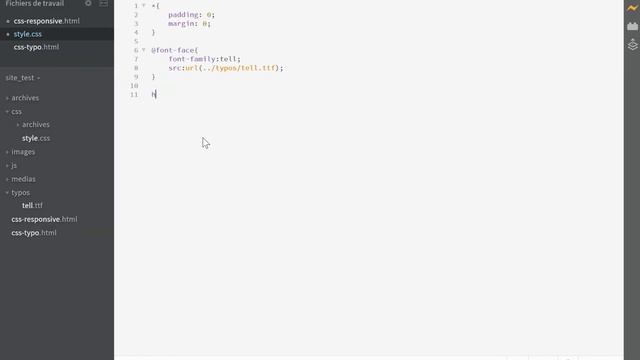 Formation IMM - Module CSS : Cours tuto 12 , intégration de typos (@font-face) смотреть онлайн