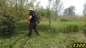 Косим Высокою Траву | Stihl FS 131 Кусторез #Stihl #Satisfying