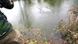 Ловля окуня весной. Малые реки