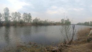 Херабуна. Как ловить карася на китайское тесто?