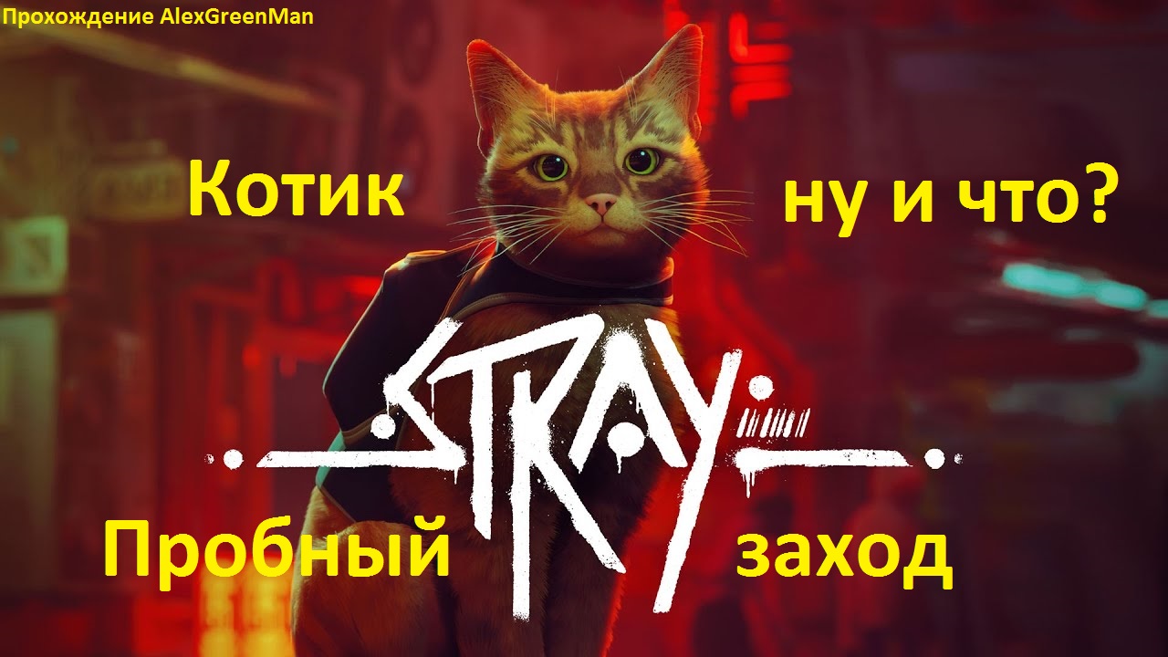 Stray Пробный заход. смотреть онлайн