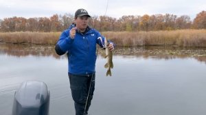 Daiwa BaitJunkie / Ловля на неогруженную резину / Алексей Шанин