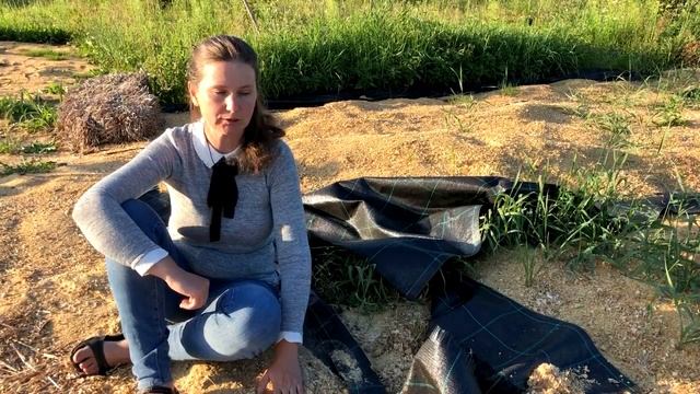 пирій? легко... смотреть онлайн