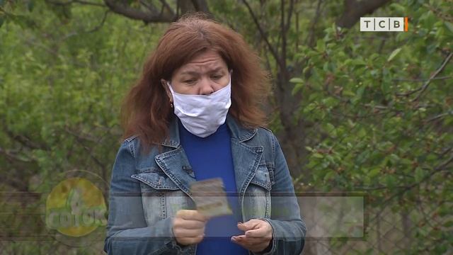 Метод посадки индейцев майя. 6 соток 11.05.2020 смотреть онлайн