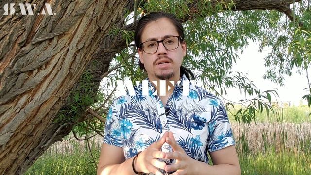 Levis 510 Skinny Fit Vs NEW! Skinny Taper! (The Difference?!) 2021