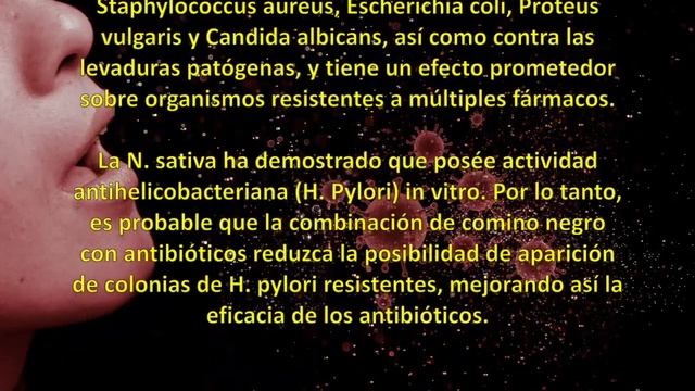 COMINO NEGRO/NIGELLA SATIVA. 12 Beneficios para la salud ? смотреть онлайн