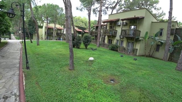 Gypsophila Club Marine(Турция) - одним дублем. смотреть онлайн