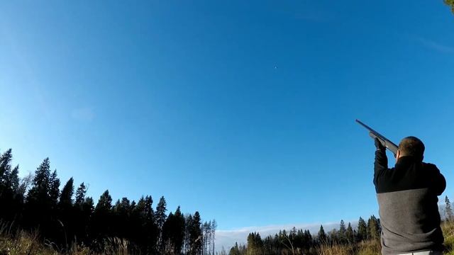 ОСЕННИЕ ТАРЕЛОЧКИ смотреть онлайн