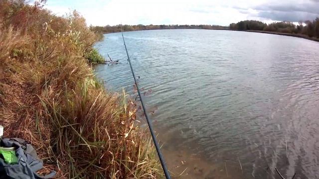 Окунь на отводной поводок.Осенняя рыбалка. смотреть онлайн