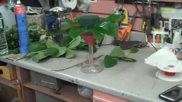 Mr. Bokay's Cosmopolitan Bouquet - Created with Fresh Blooms смотреть онлайн