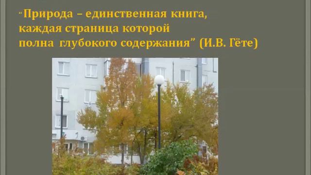Совершенствование и развитие через онлайн туризм смотреть онлайн