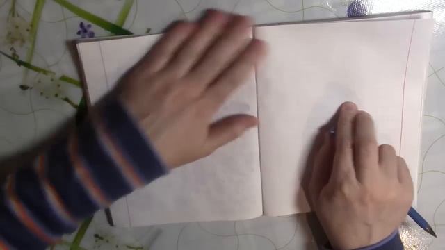 В Шри-Ланке проведут расследование из-за виз