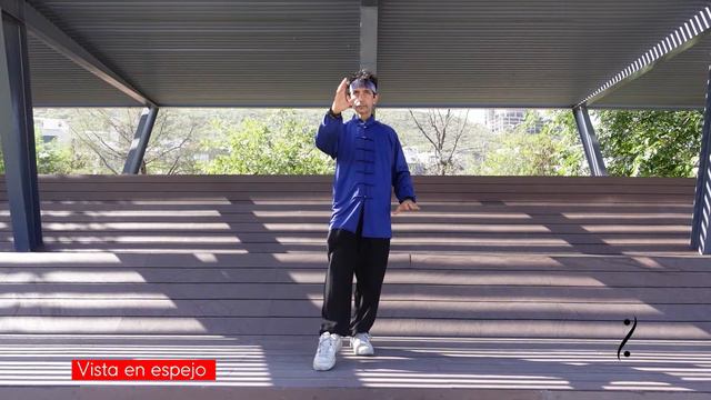 Tai chi Forma 10 Simplificada: 9 movimientos (nubes). 6 y 7 sin levantar piernas. Vista en ESPEJO смотреть онлайн