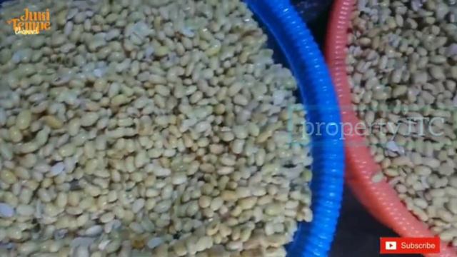 CARA MEMBUAT TEMPE PUTIH WANGI TIDAK ASAM смотреть онлайн