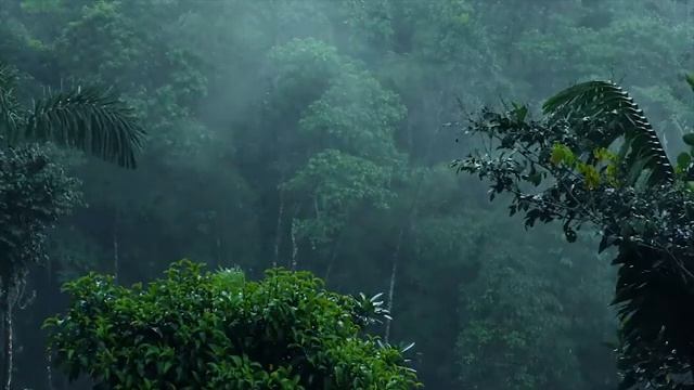 2 часов успокаивающий звук дождя и музыка пианино для сна. Сильный ливень Sleep Music, Raind Sounds смотреть онлайн