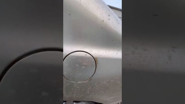 Honda Civic 4D в СПБ не живут ❗Все цивики 4D сгнивают ?