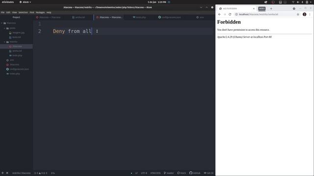 Segurança com HTACCESS: protegendo arquivos e diretórios + bônus HTTP BASIC AUTH com HTPASSWD - WDE смотреть онлайн