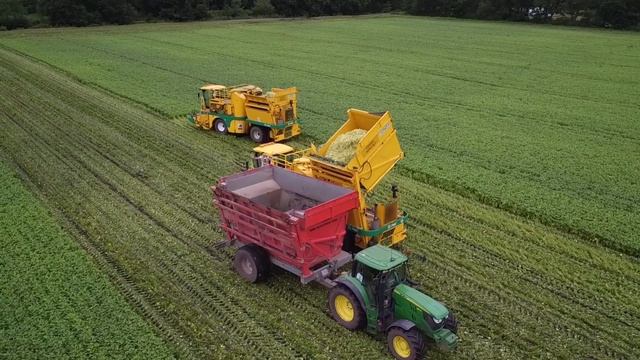 Pmc green bean video смотреть онлайн