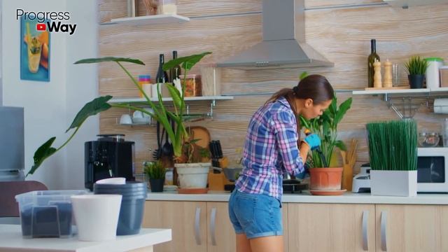 Спатифиллум Женское Счастье И Банан Дают Сумасшедший Эффект! смотреть онлайн