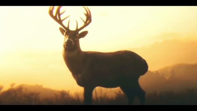 May I Stand (UNSHAKEN) Lyric Video - Red Dead Redemption 2 Soundtracks смотреть онлайн