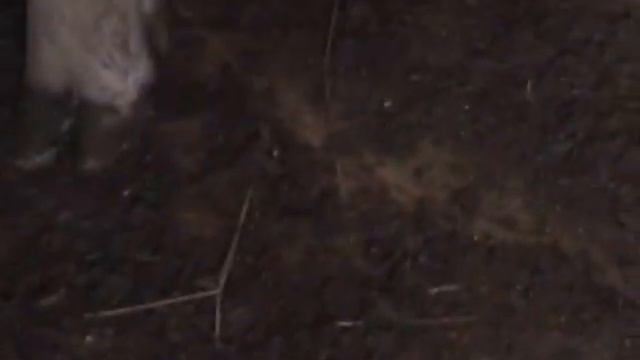 ЭМ-Технологии в домашнем хозяйстве смотреть онлайн