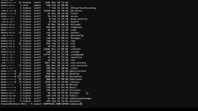Installing composer in mac with docker and also with brew and create a laravel project смотреть онлайн