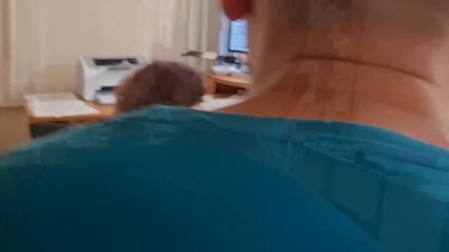 Как урезонить горгаз смотреть онлайн