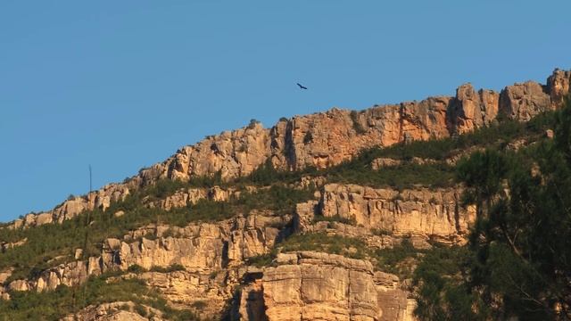 One day with frends in nature. Fujifilm xt4 full HD смотреть онлайн