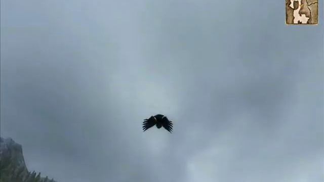 Druid Mod Remade, Crow Form смотреть онлайн