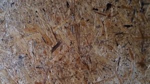 Как намокает OSB ОСП без дождя. Откуда берется вода? OSB