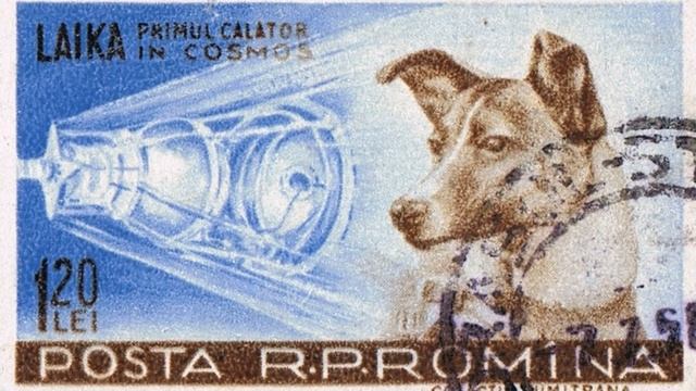 Тайна Гибели Первого Космонавта - Собака Лайка Кудрявка в Спутнике-2 смотреть онлайн