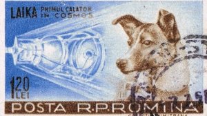 Тайна Гибели Первого Космонавта  - Собака Лайка Кудрявка в Спутнике-2