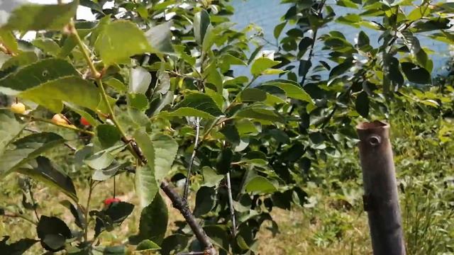 Переезжайте в Деревню///Приехал в деревНЮ///А хотите купить этот дом? смотреть онлайн