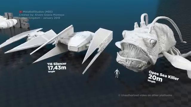 STAR WARS | Real Scale In 3D