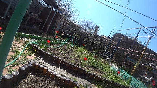 SONY FDR X3000   Обзор и совет, примеры видео днём обзор сони X3000