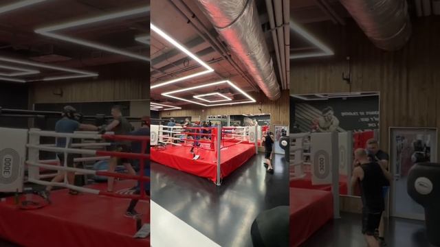 Бокс #бокс #бокстренировки #boxing смотреть онлайн