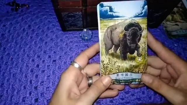Таро Тотемных животных. Animal totem tarot. Часть 1. смотреть онлайн