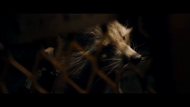 Rocket Saves Baby Raccoons (Music only scene) Guardians of the Galaxy 3 смотреть онлайн