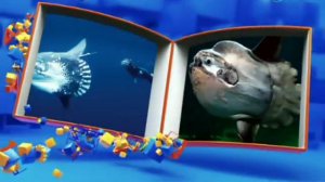 ПЕРЕМЕШКА ВЫПУСК 09.01.2017