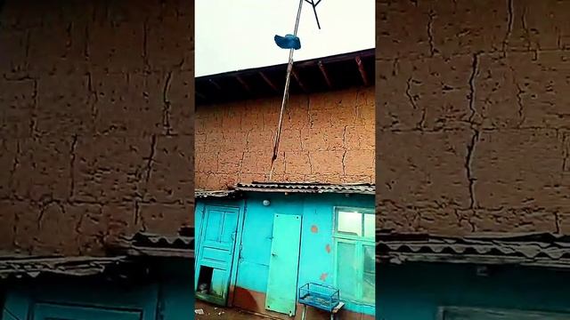 Винтовая игра голубей! Город Самарканд, голуби "Асана" смотреть онлайн