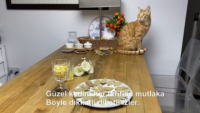 Defne yaprağı ile limonu karıştırın ve sonucu görünce bana teşekkür edeceksiniz.Evde kilo ver ! смотреть онлайн