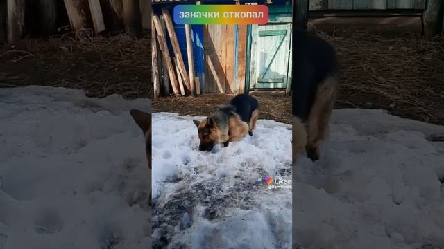 Весна смотреть онлайн
