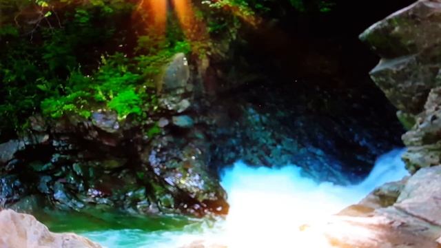 Неужели! Автор Наталья Шевченко. смотреть онлайн