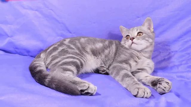 DSCN4323 смотреть онлайн